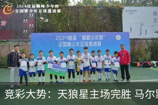 竞彩大势：天狼星主场完胜 马尔默不宜高估
